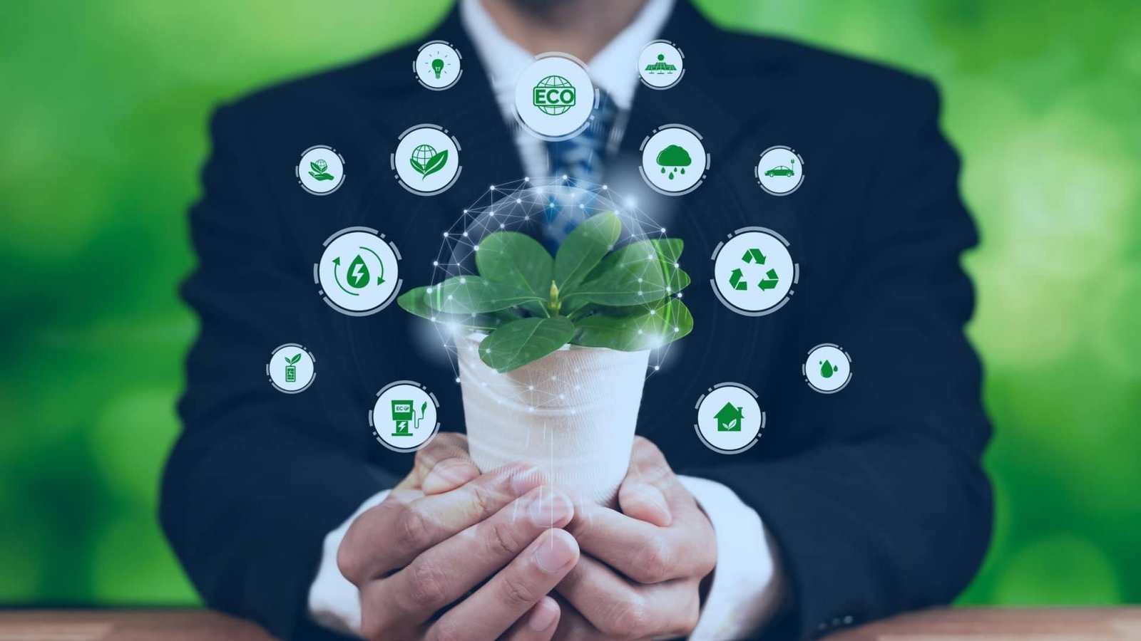 Rooftop & Terrace Gardening immobilize 1 1 1