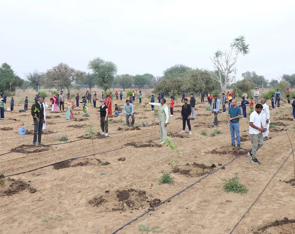grow billion trees plantation 1
