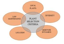 Rooftop & Terrace Gardening images (15)