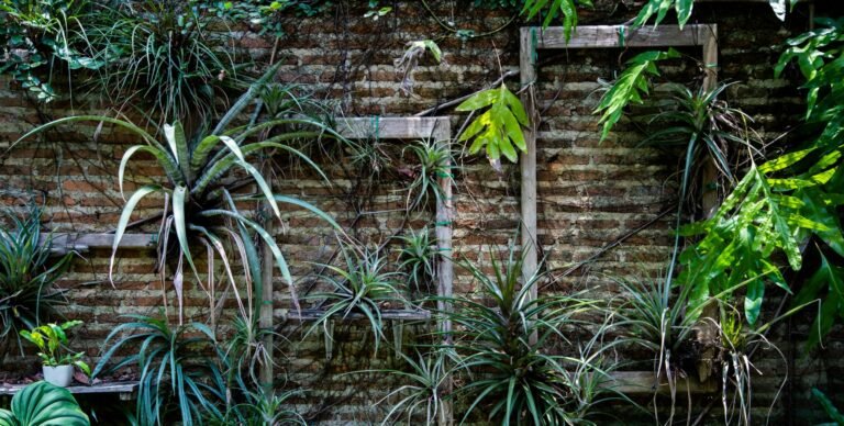 pexels sukrit lamthong 34482161 7443025