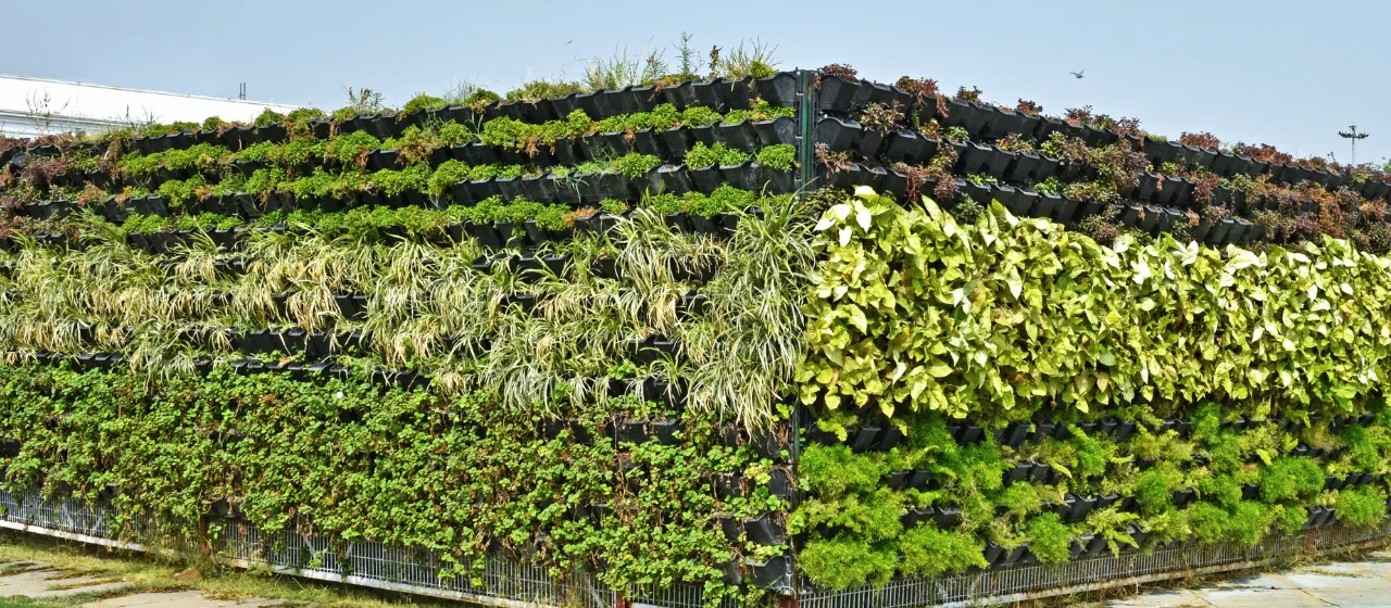 vertical garden1