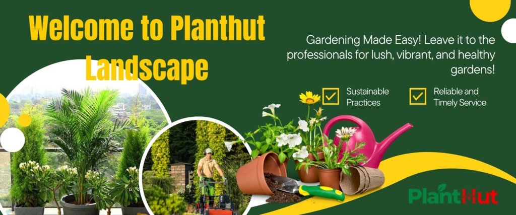 fresh fruits at your home 🍊 premium fruit plants for every garden (64)